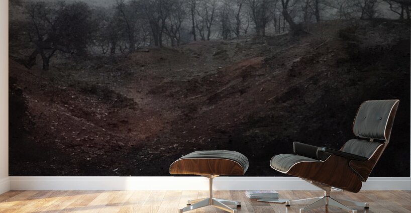 Félix Thiollier 5 Wall Murals