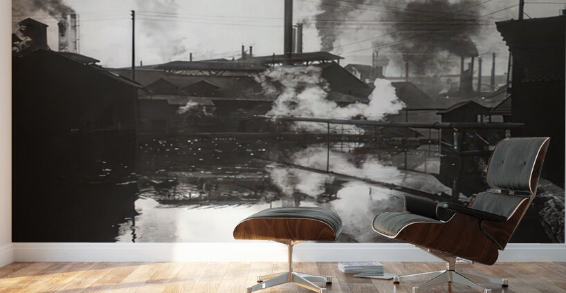 Félix Thiollier 20 Wall Murals