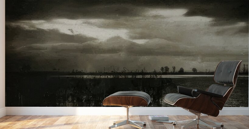 Félix Thiollier 23 Wall Murals