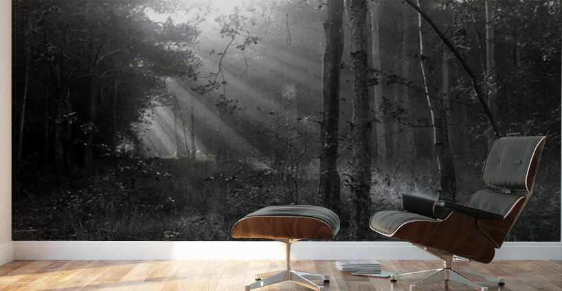 Félix Thiollier 40 Wall Murals