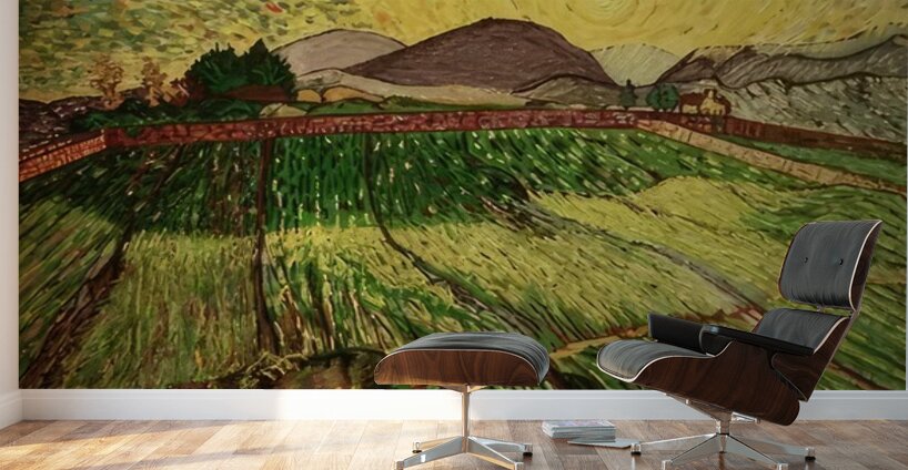 Vincent van Gogh 28 Wall Murals
