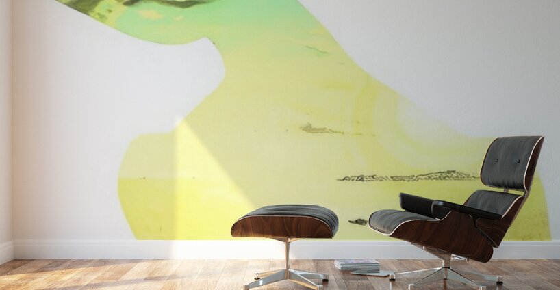 Salvador Dalí 3 Wall Murals