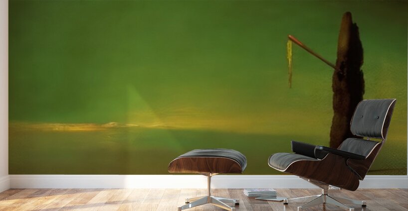 Salvador Dalí 9 Wall Murals