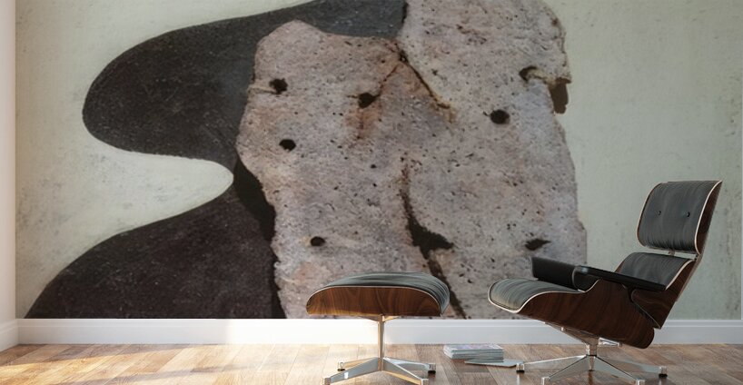 Salvador Dalí 44 Wall Murals