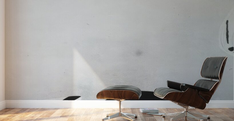 Salvador Dalí 48 Wall Murals