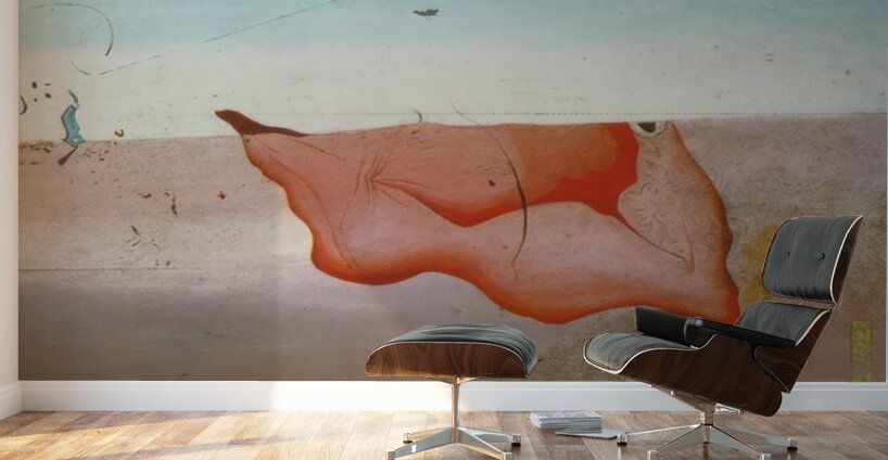 Salvador Dalí 50 Wall Murals