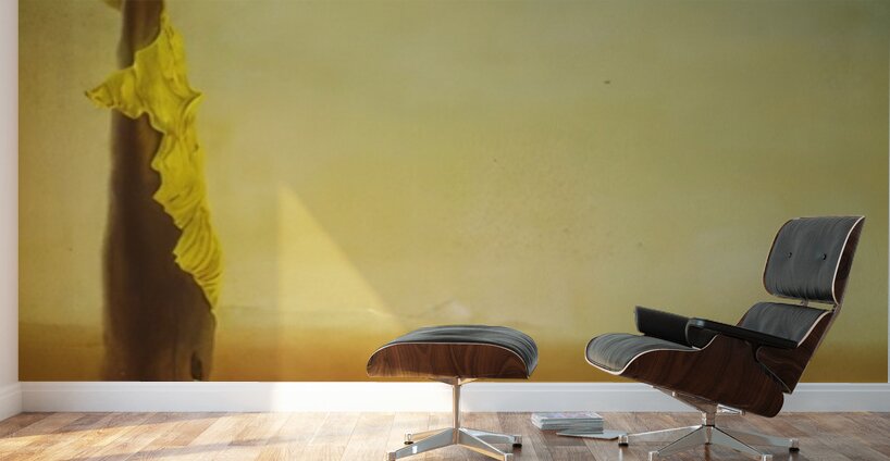 Salvador Dalí 6 Wall Murals