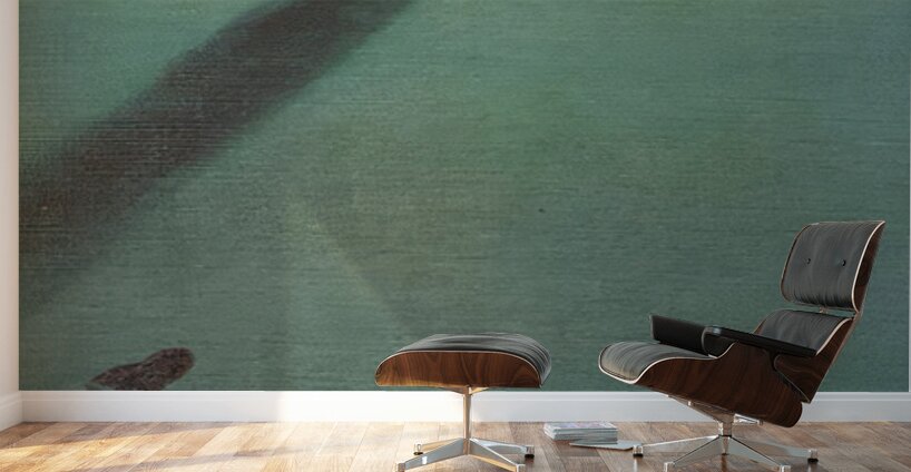 Salvador Dalí 9 Wall Murals