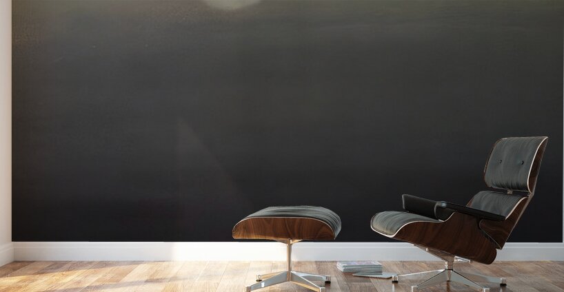 Salvador Dalí 26 Wall Murals