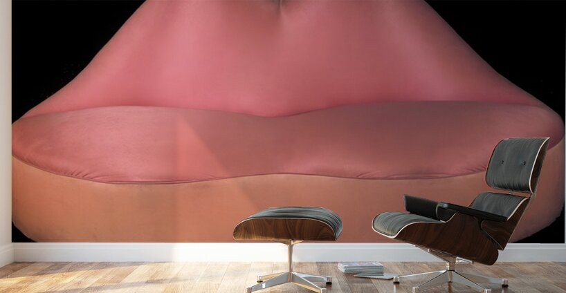 Salvador Dalí 40 Wall Murals