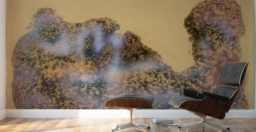 Mark Tobey 24 Wall Murals