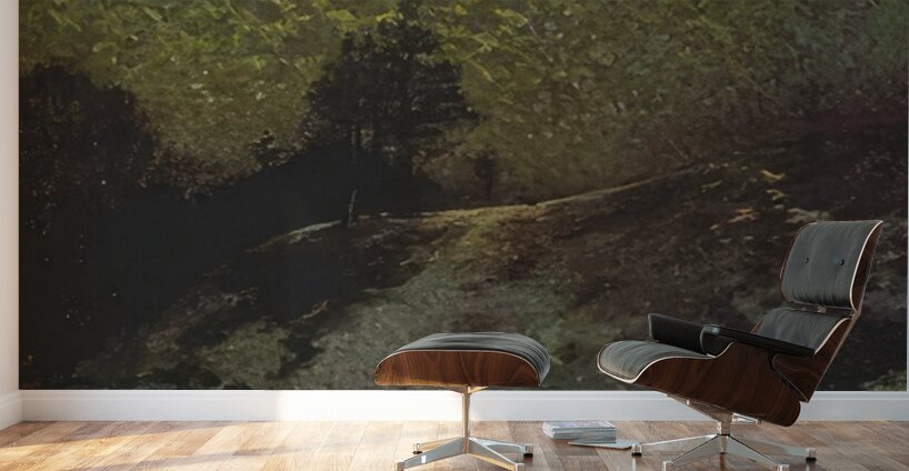 Manly Edward MacDonald   30 Wall Murals