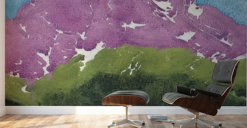 Augusto Giacometti 6 Wall Murals