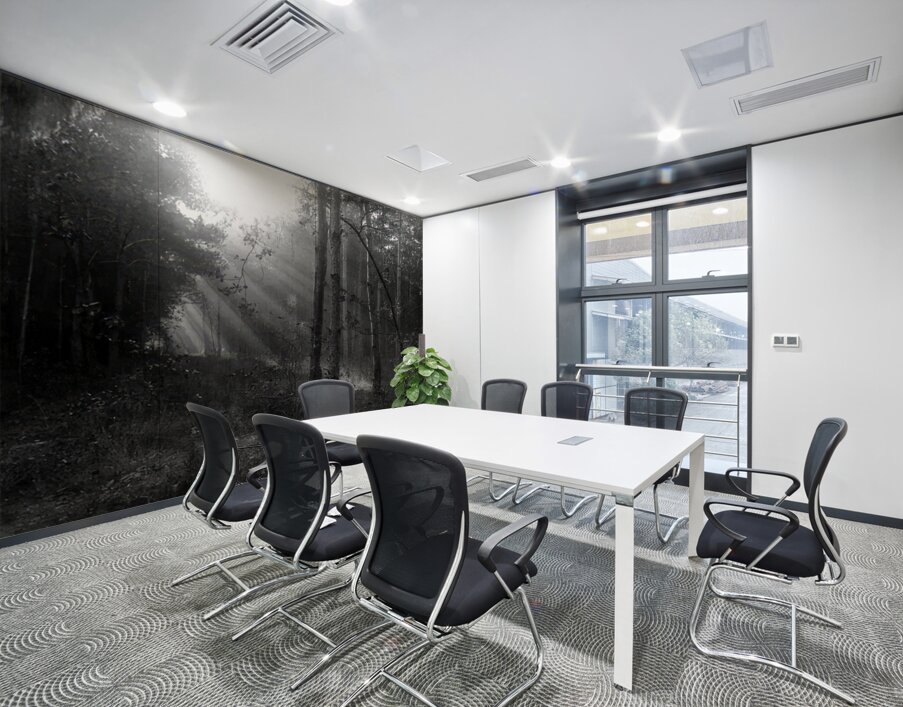 Félix Thiollier 40 Wall Printing