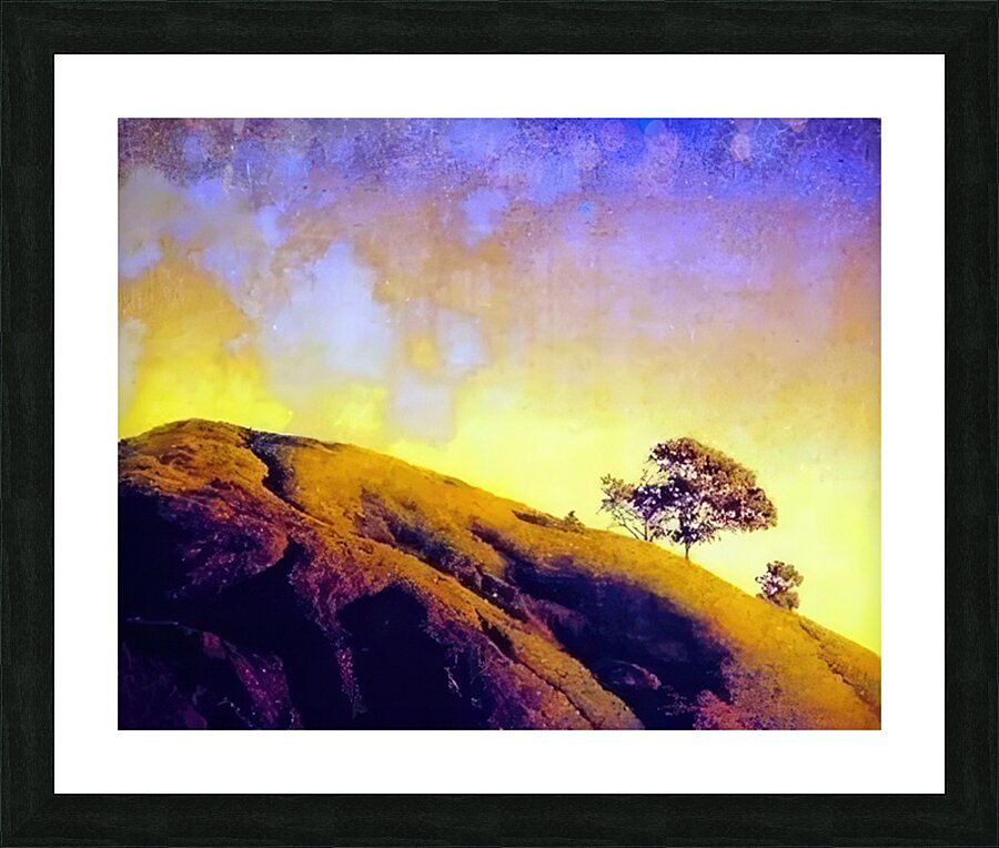  Fine Art print