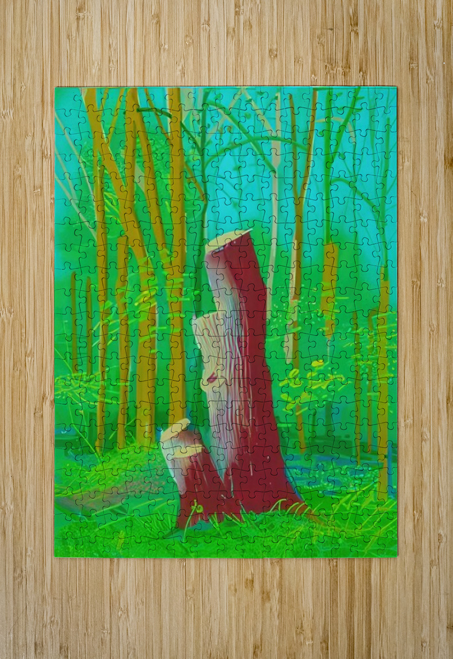 David Hockney  AmericanPainters Puzzle printing