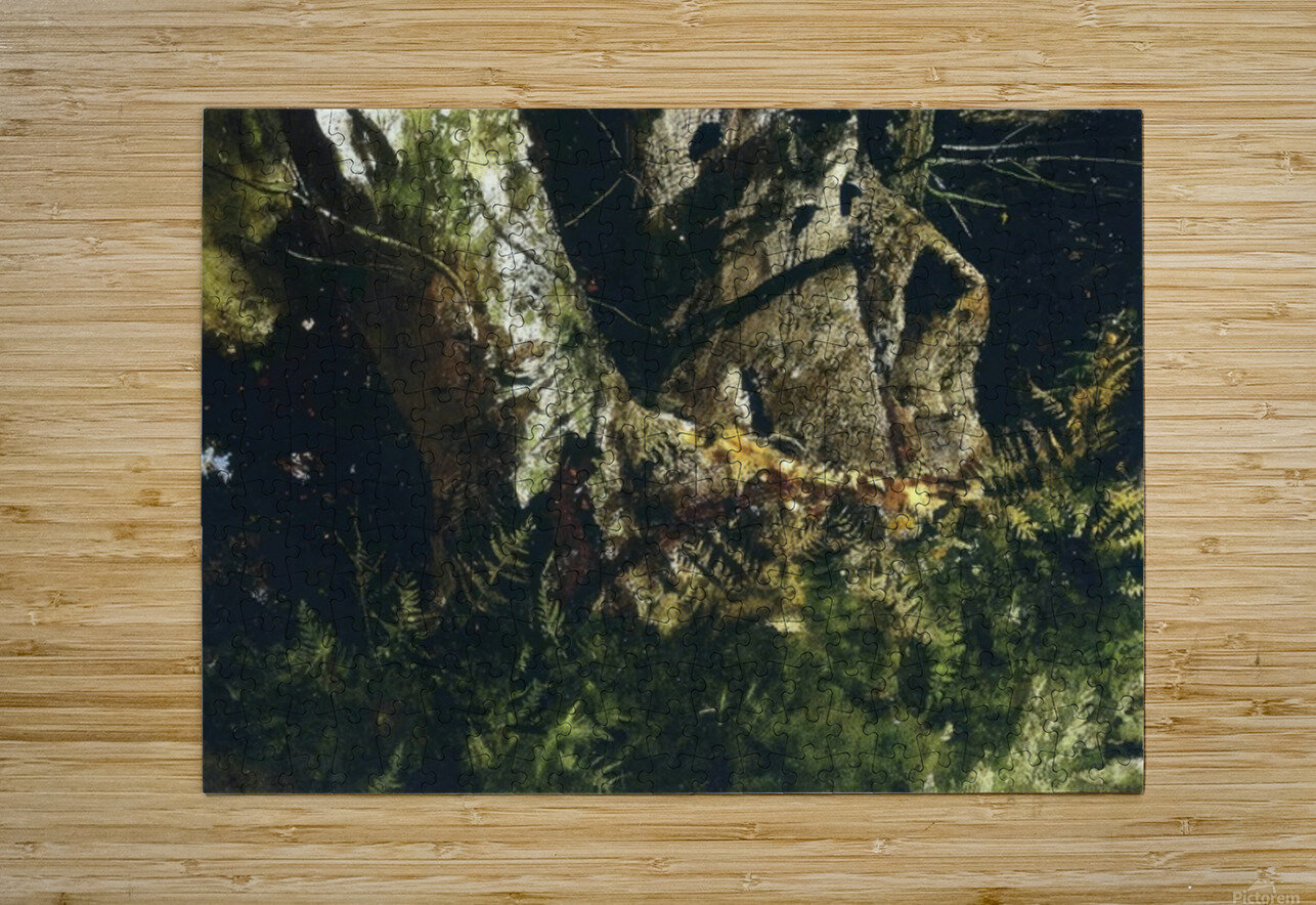 Walking Stick   Contemporary Realism - Andrew Wyeth AmericanPainters Puzzle printing