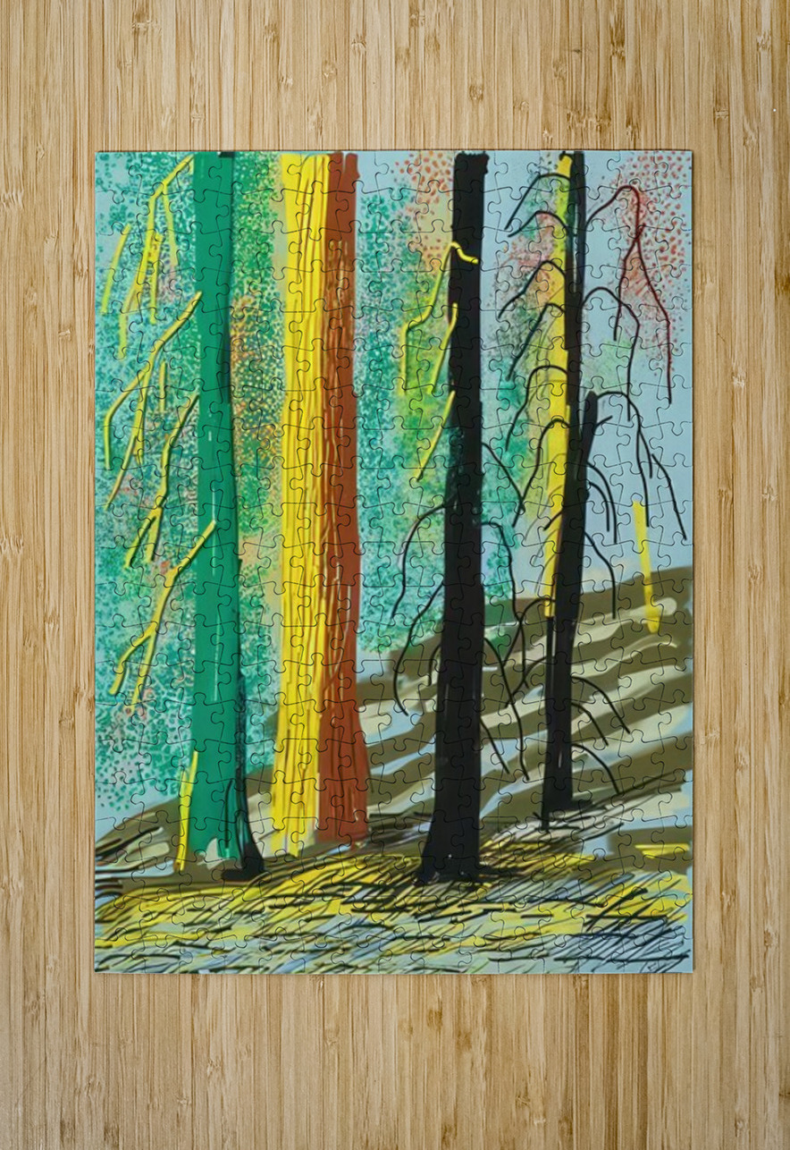 David Hockney 58 AmericanPainters Puzzle printing
