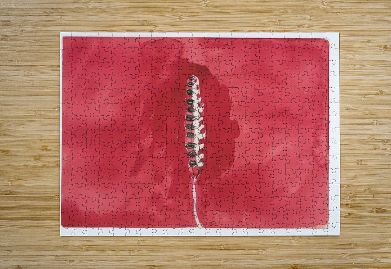 New Upload   Hilma af Klint 24 AmericanPainters Puzzle printing