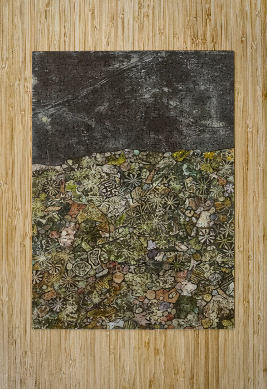 JEAN DUBUFFET 34 AmericanPainters Puzzle printing