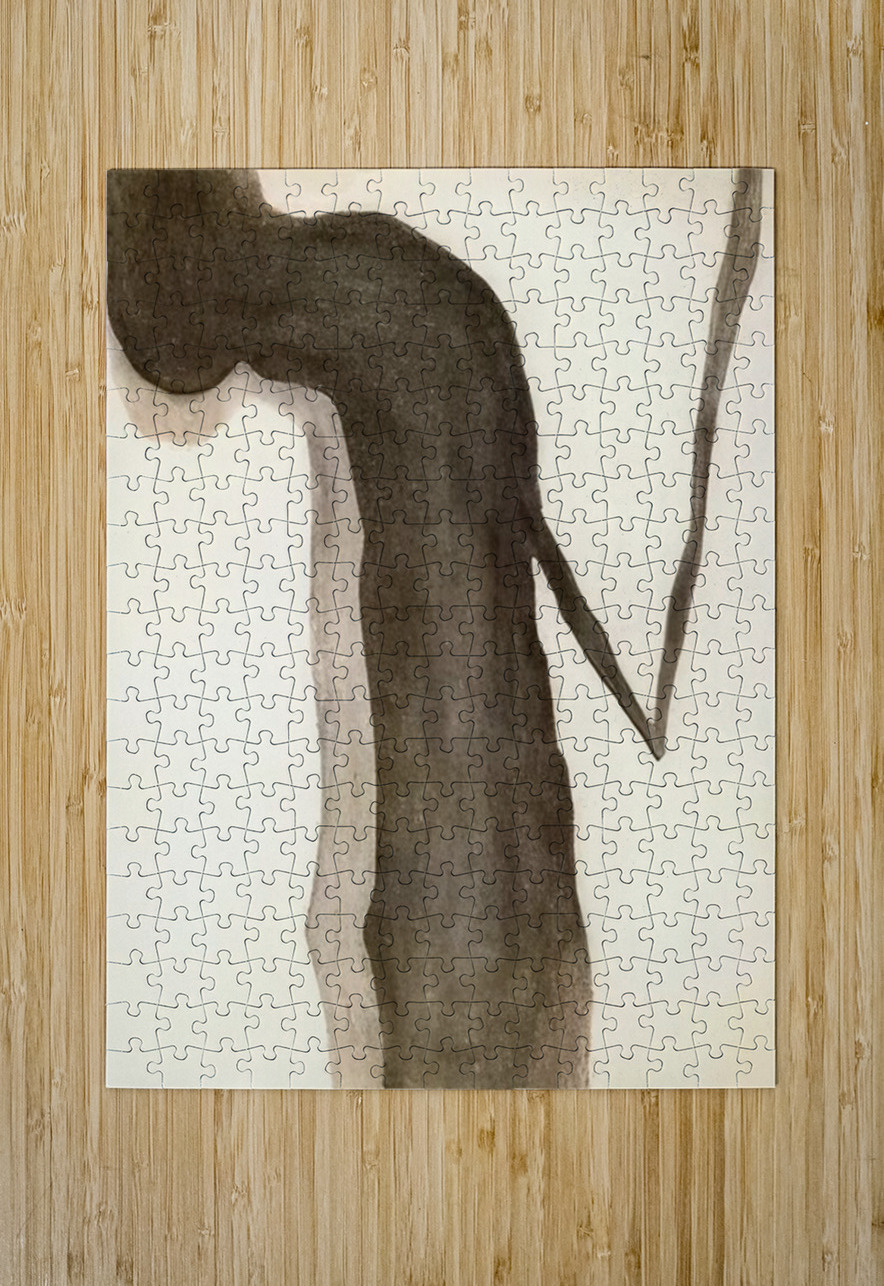 Georgia OKeeffe 69 AmericanPainters Puzzle printing