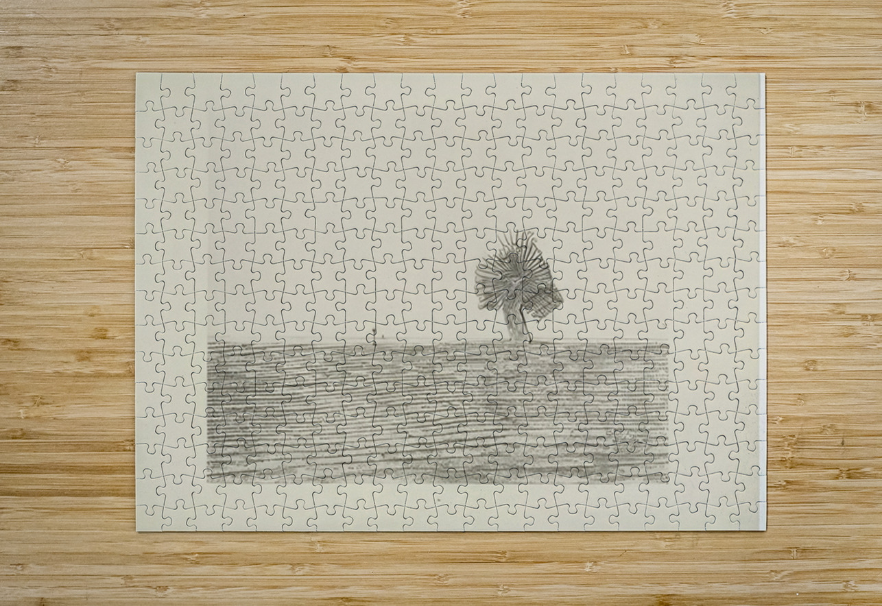 Max Ernst 48 AmericanPainters Puzzle printing