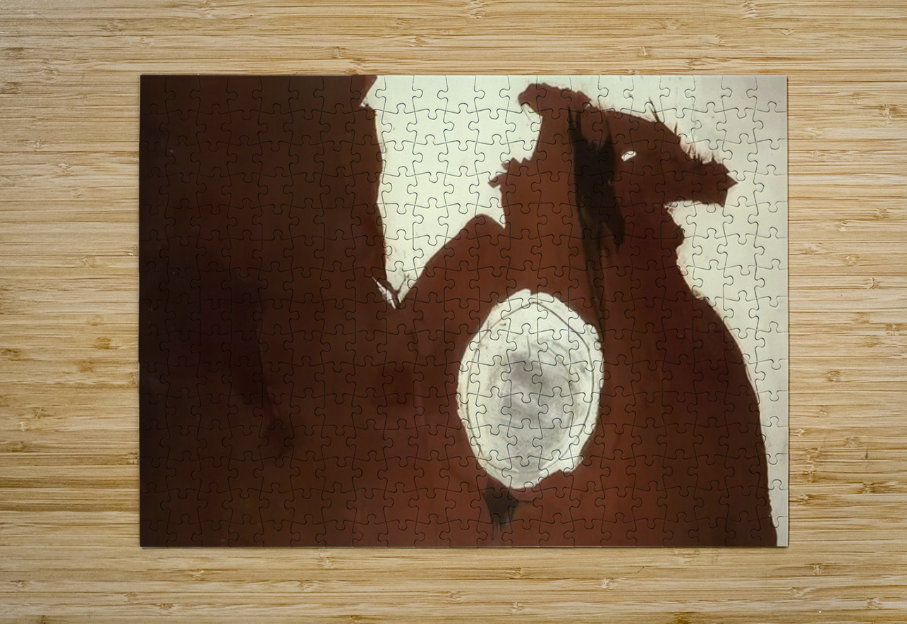 Robert Motherwell 54 AmericanPainters Puzzle printing