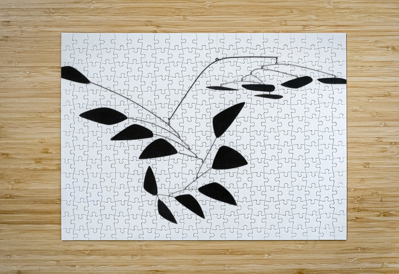 Alexander Calder 7 AmericanPainters Puzzle printing