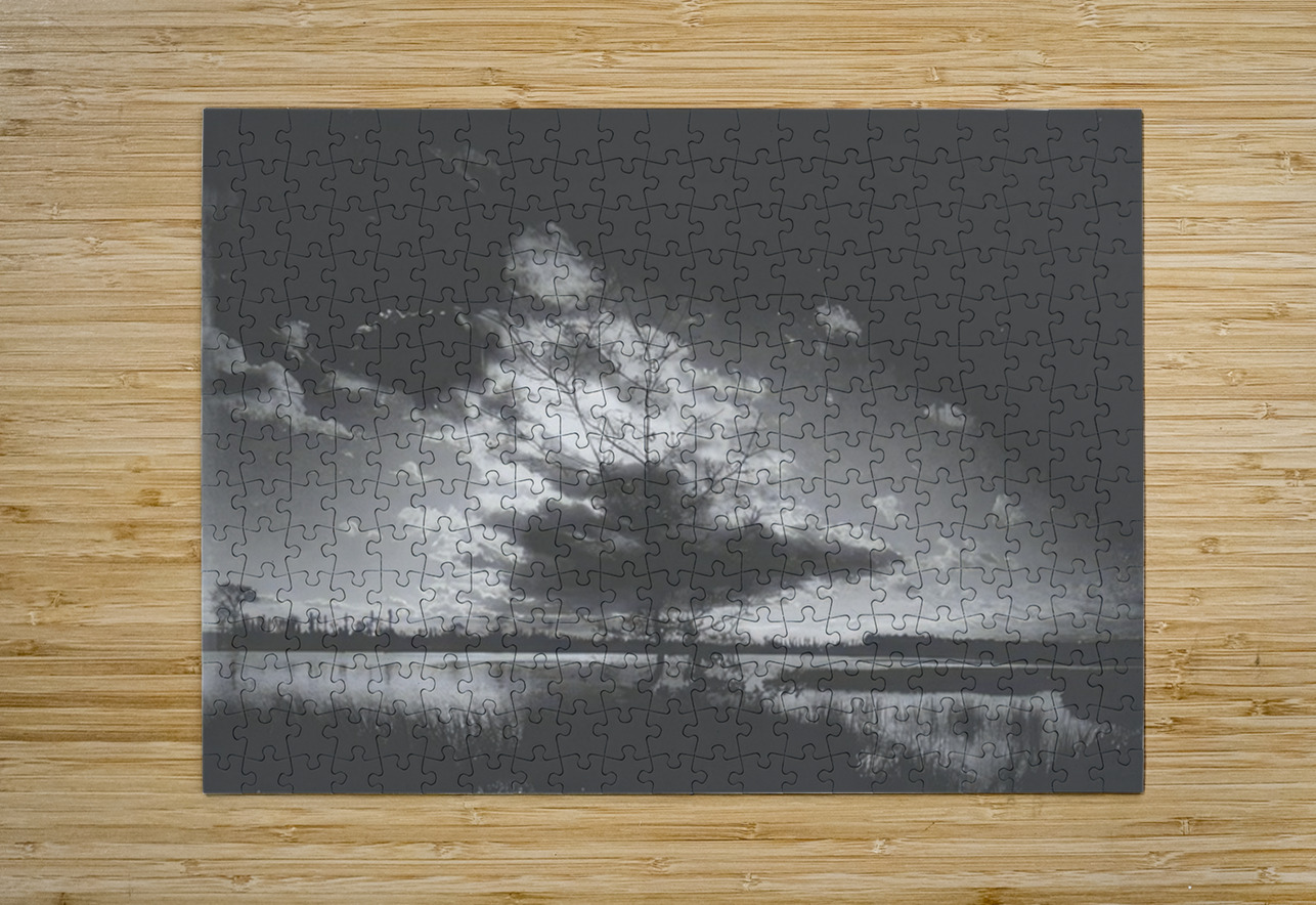 Félix Thiollier 11 AmericanPainters Puzzle printing