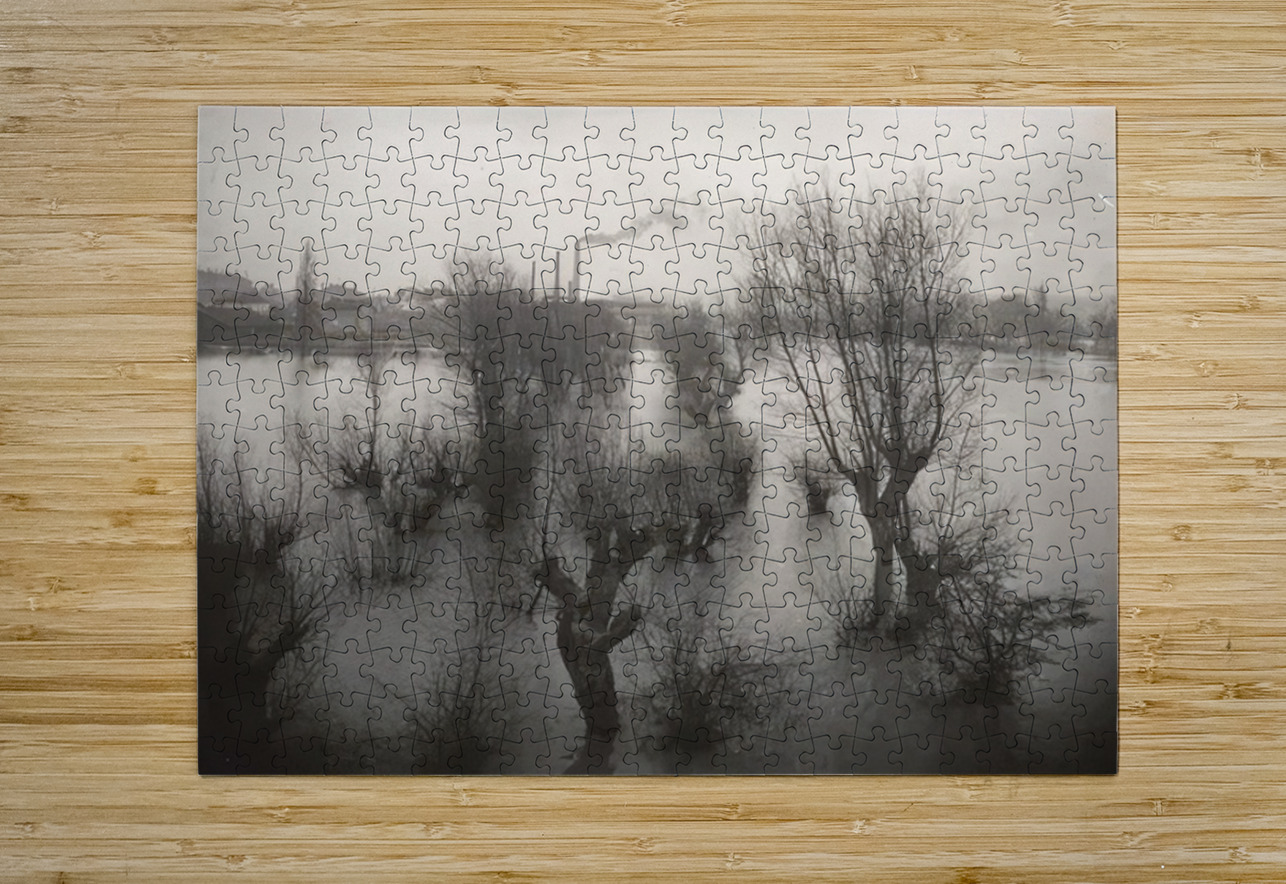 Félix Thiollier 18 AmericanPainters Puzzle printing