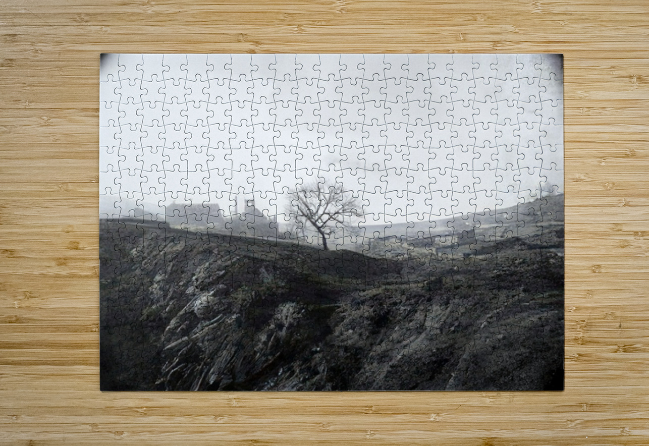 Félix Thiollier 27 AmericanPainters Puzzle printing