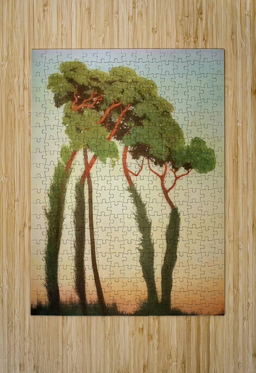 Félix Thiollier 28 AmericanPainters Puzzle printing