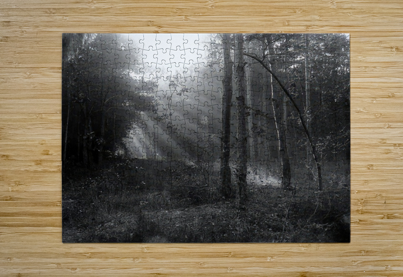 Félix Thiollier 40 AmericanPainters Puzzle printing