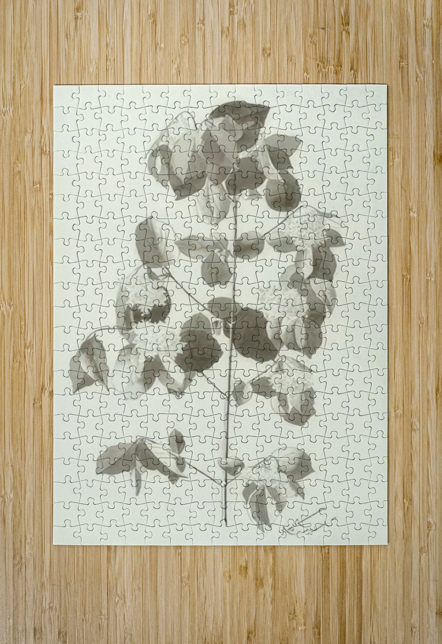 Augusto Giacometti 5 AmericanPainters Puzzle printing