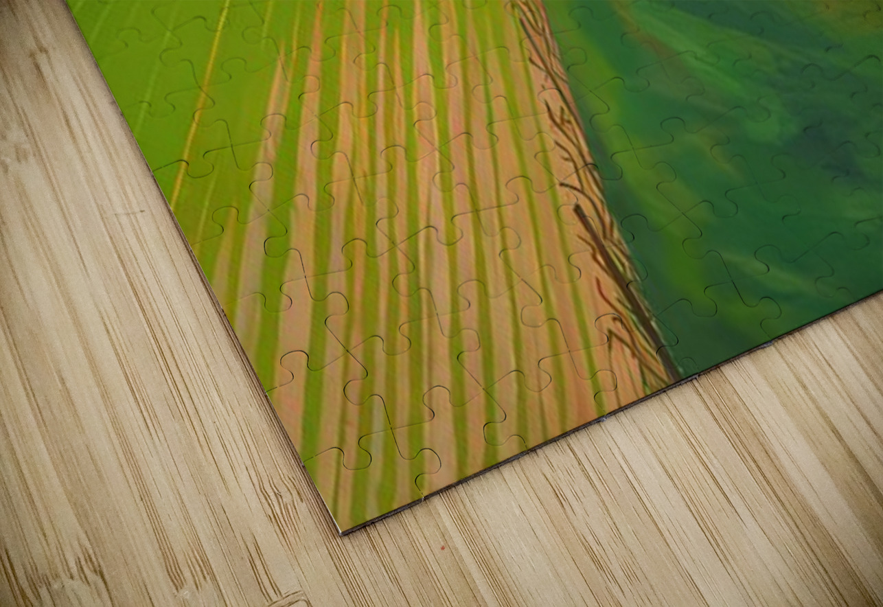 David Hockney  AmericanPainters Puzzle