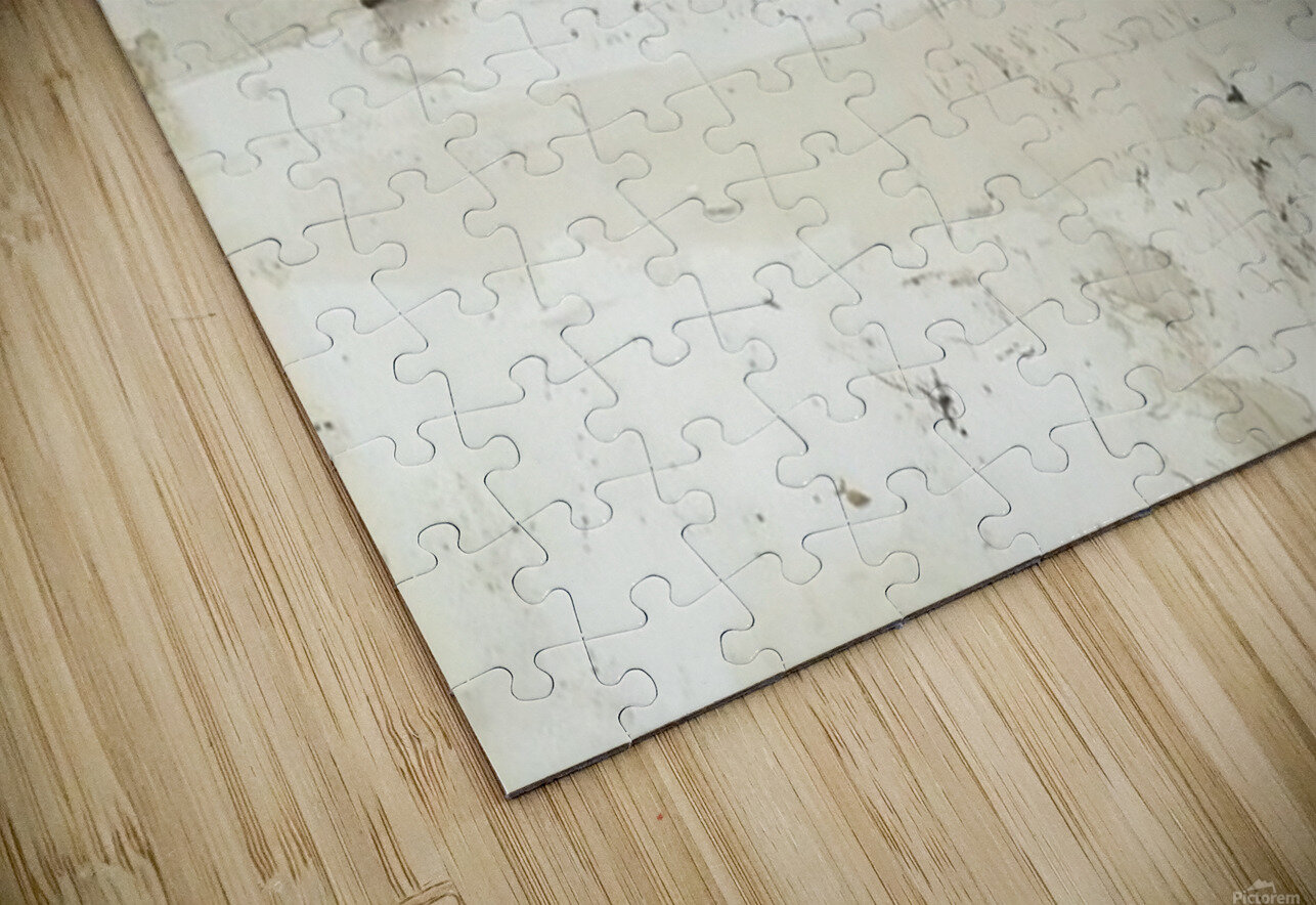 Andrew Wyeth AmericanPainters Puzzle