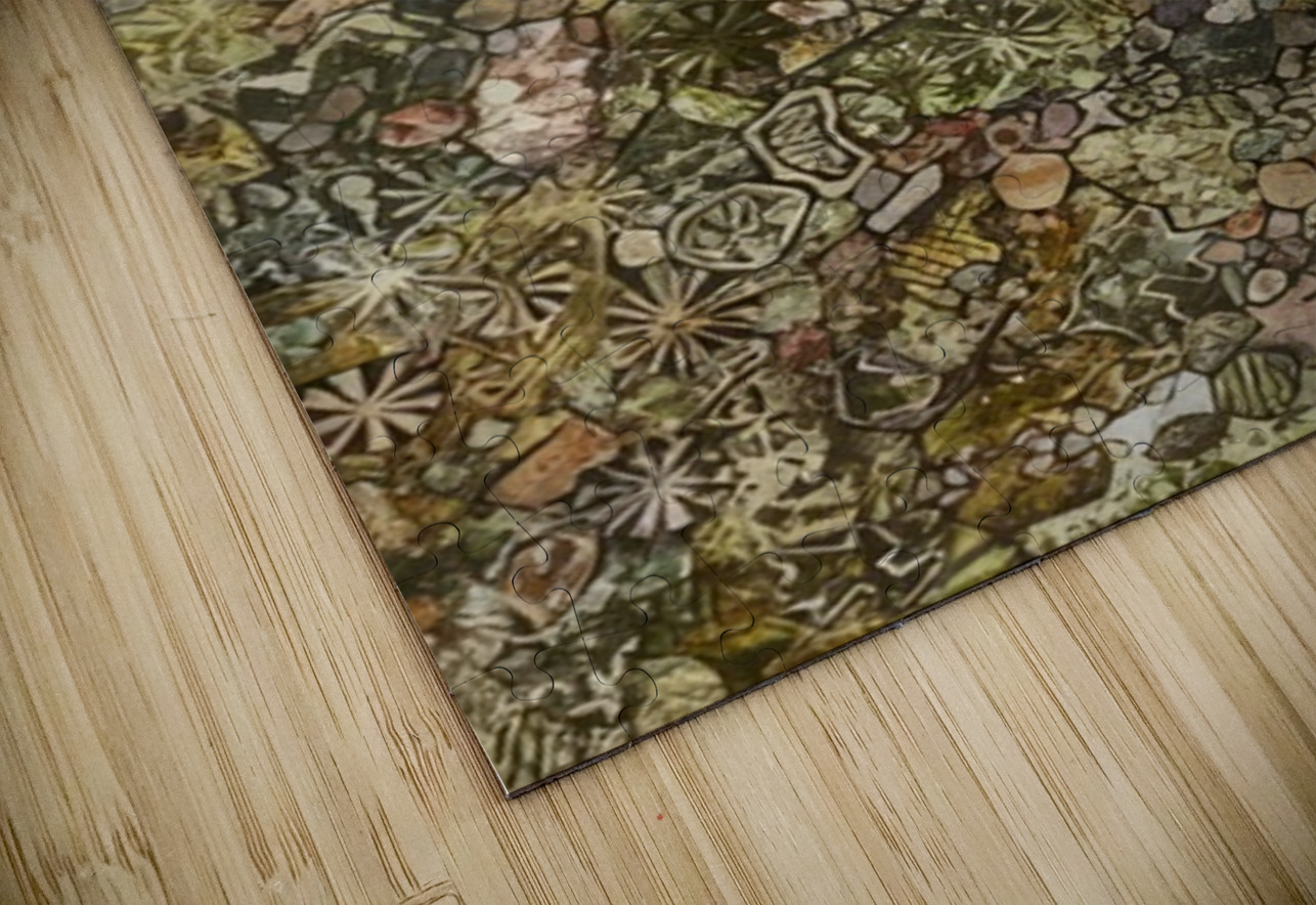 JEAN DUBUFFET 34 AmericanPainters Puzzle