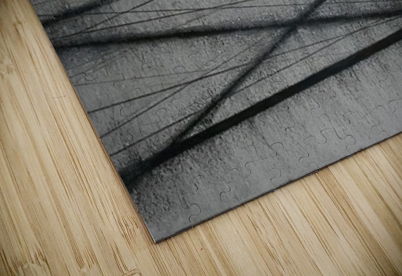 Agnes Martin    45 AmericanPainters Puzzle