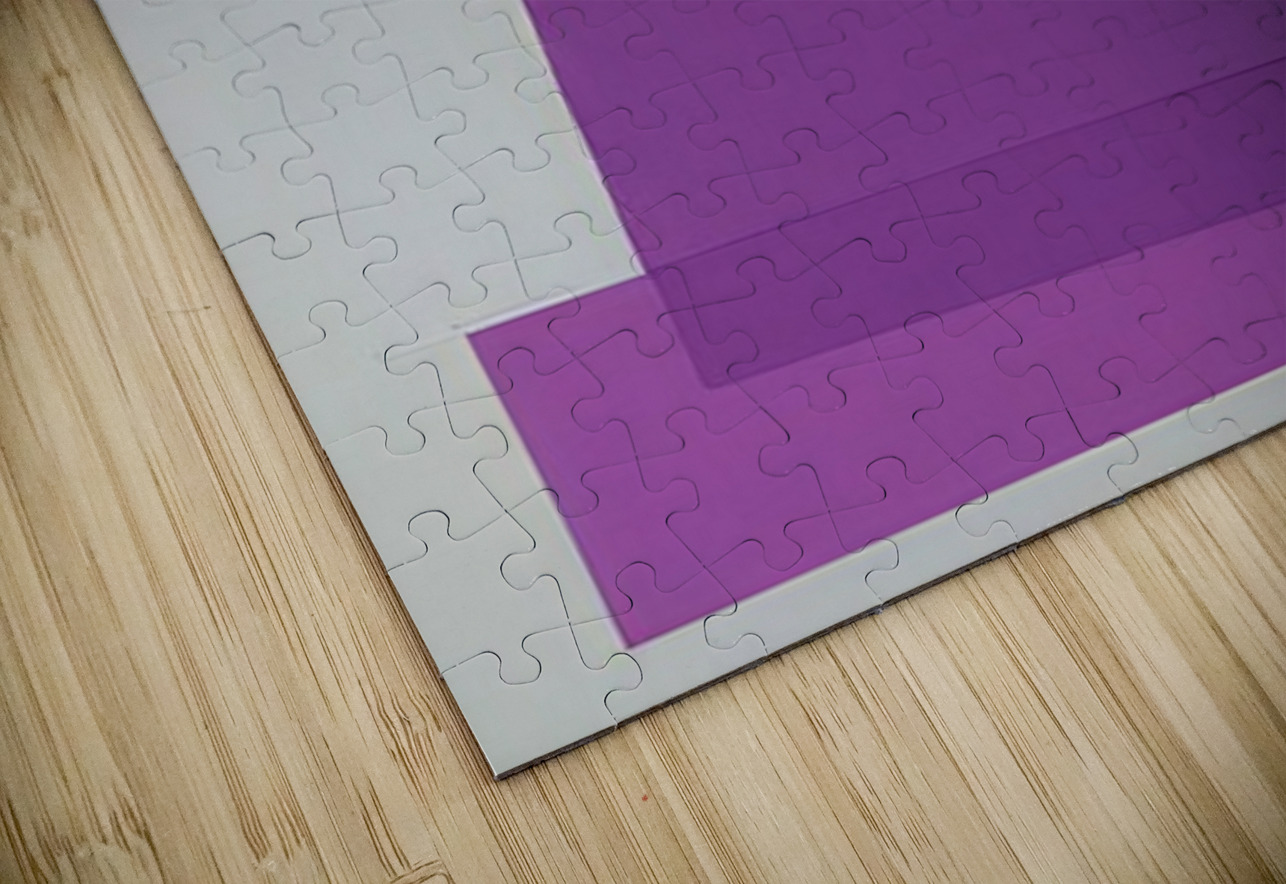 Josef Albers    6 AmericanPainters Puzzle