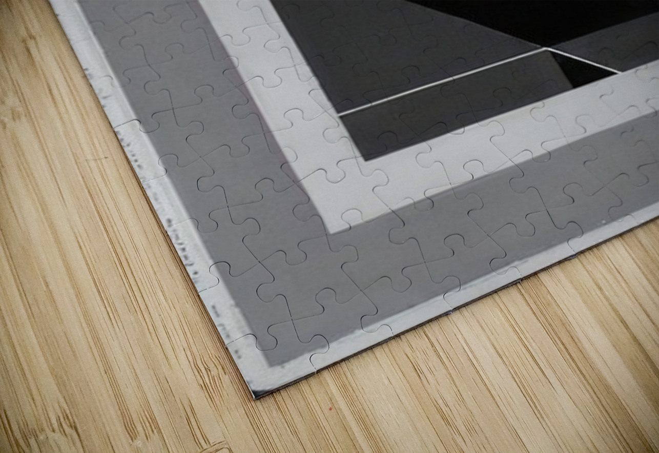 Josef Albers    13 AmericanPainters Puzzle