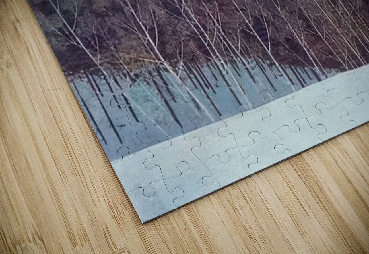 Rockwell Kent  44 AmericanPainters Puzzle