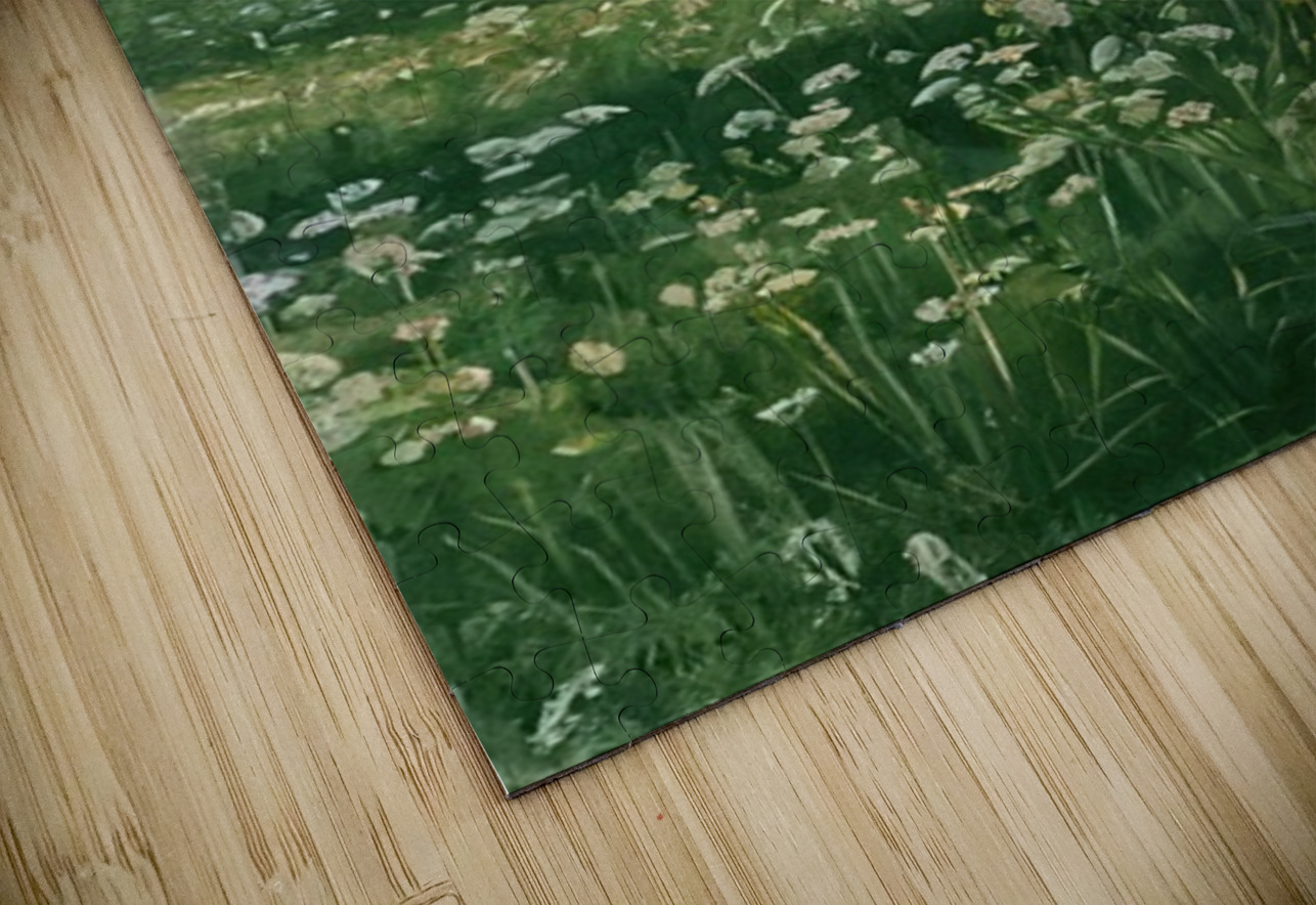 Art by Ferdinand Hodler  12 AmericanPainters Puzzle