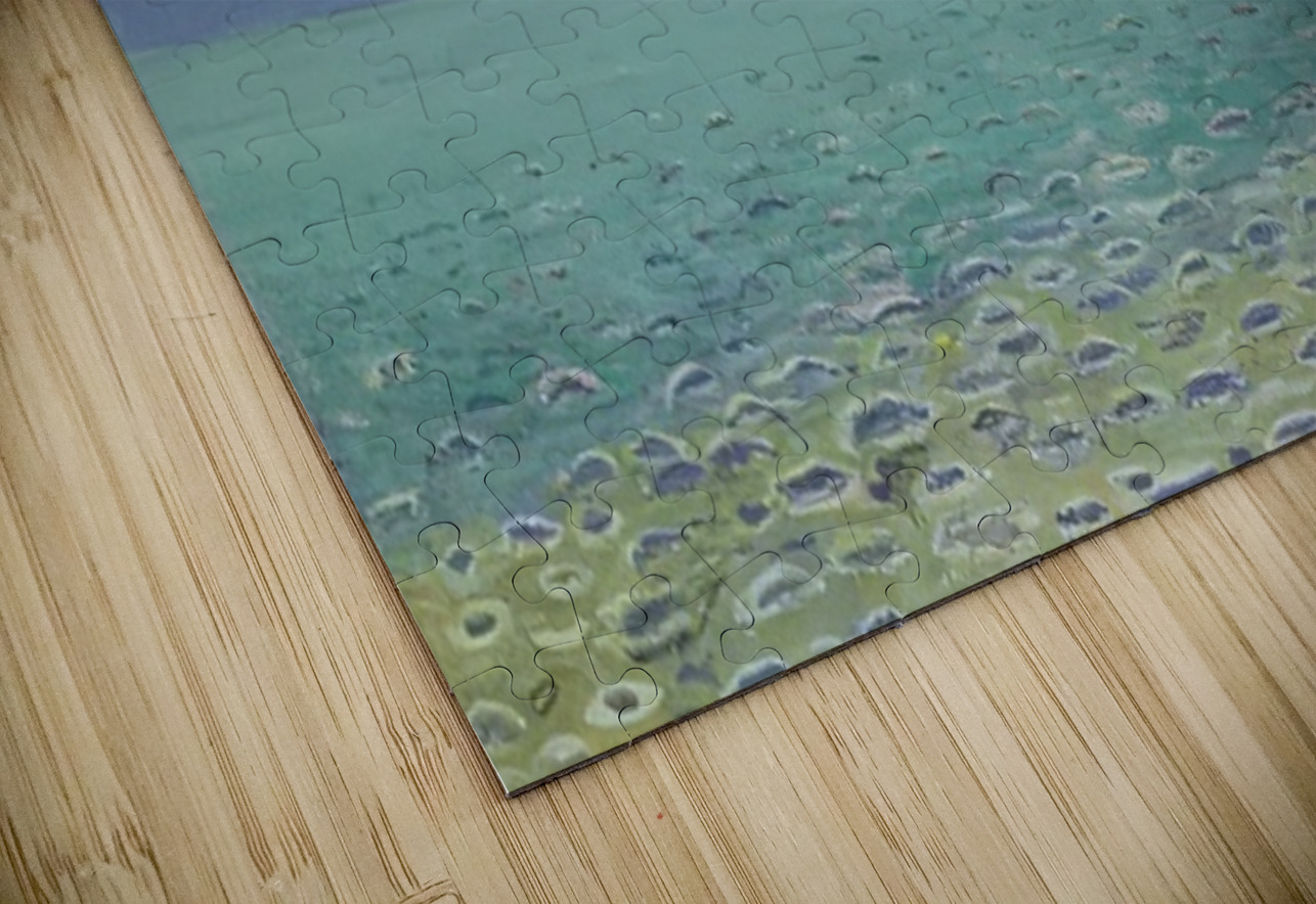 Art by Ferdinand Hodler  25 AmericanPainters Puzzle