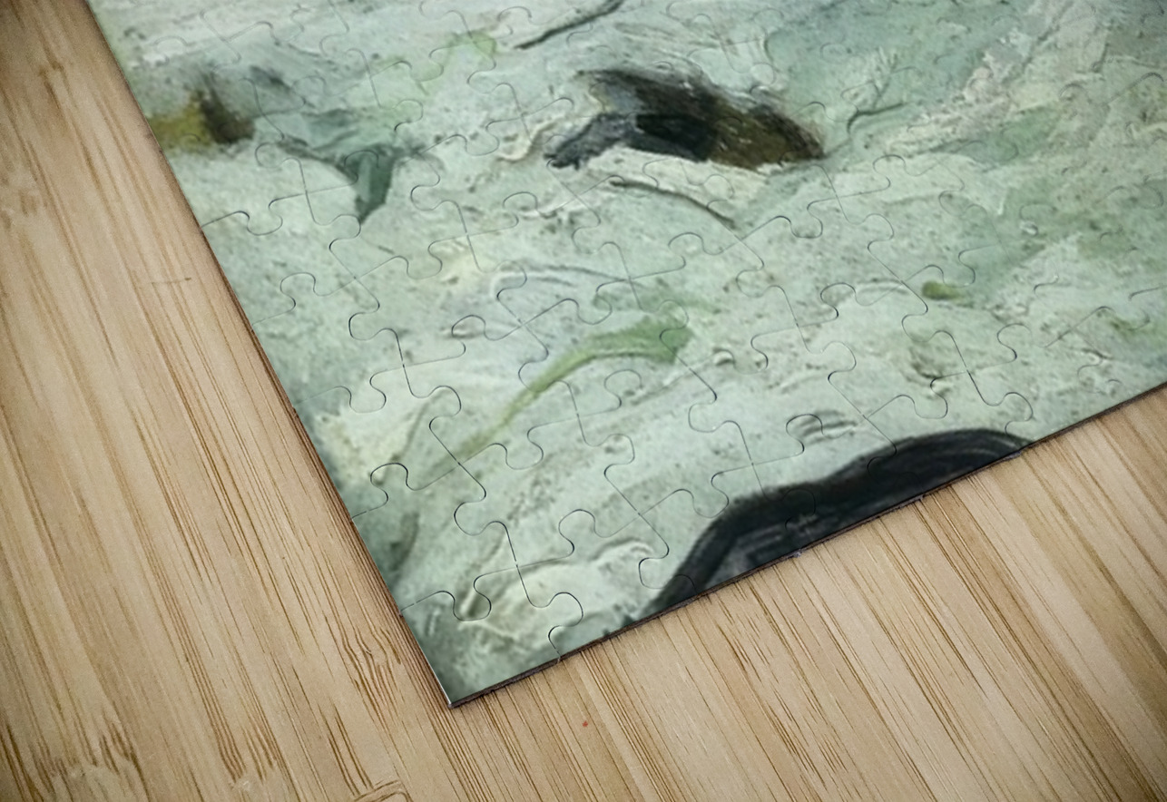 Art by George Bellows 56 AmericanPainters Puzzle