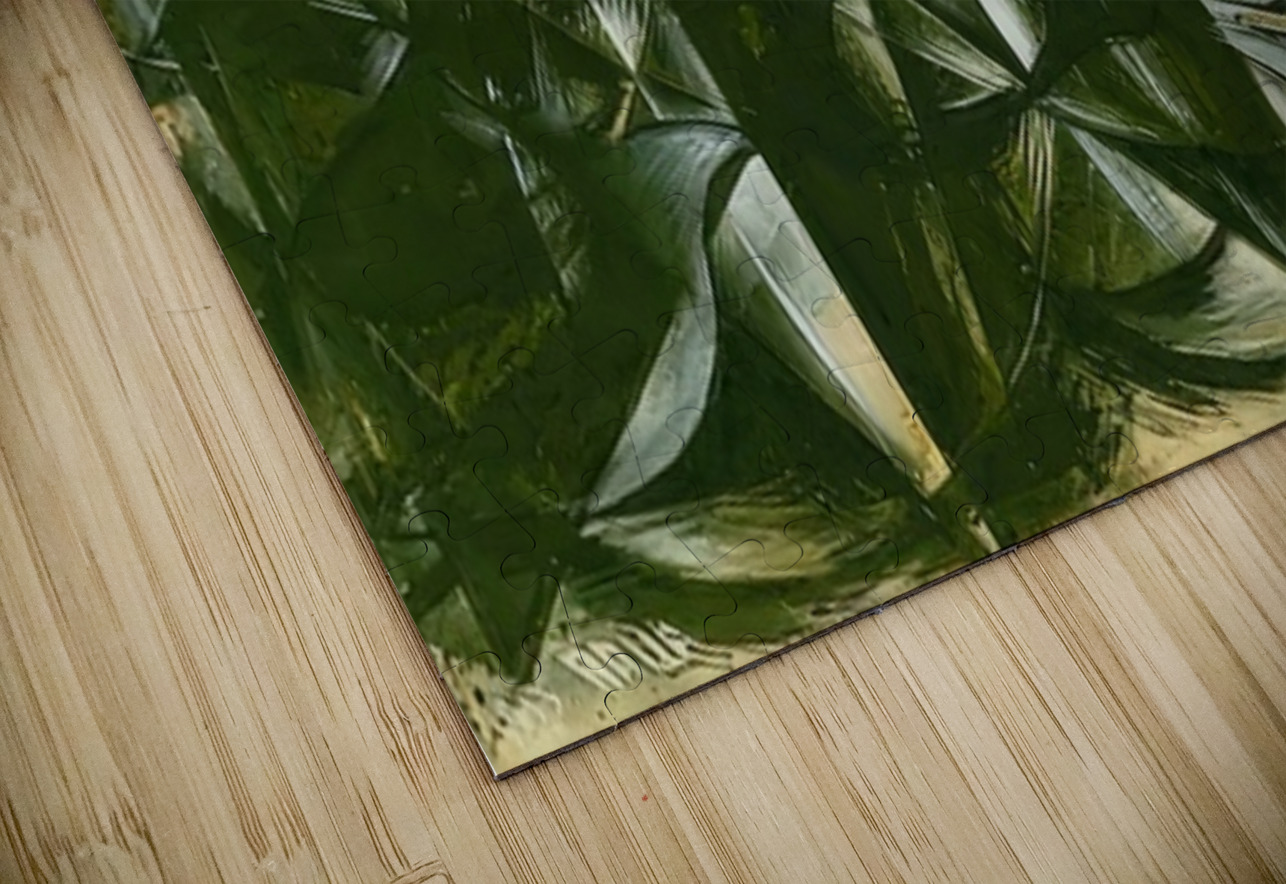 Artwork by Giacomo Balla  30 AmericanPainters Puzzle