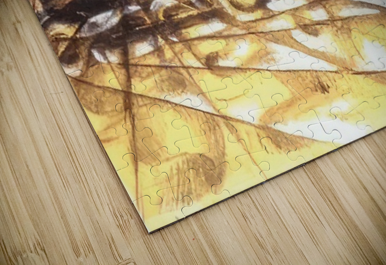 Artwork by Giacomo Balla  50 AmericanPainters Puzzle