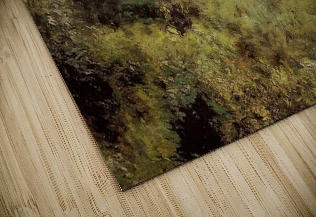 Art by Auguste Renoir 5 AmericanPainters Puzzle