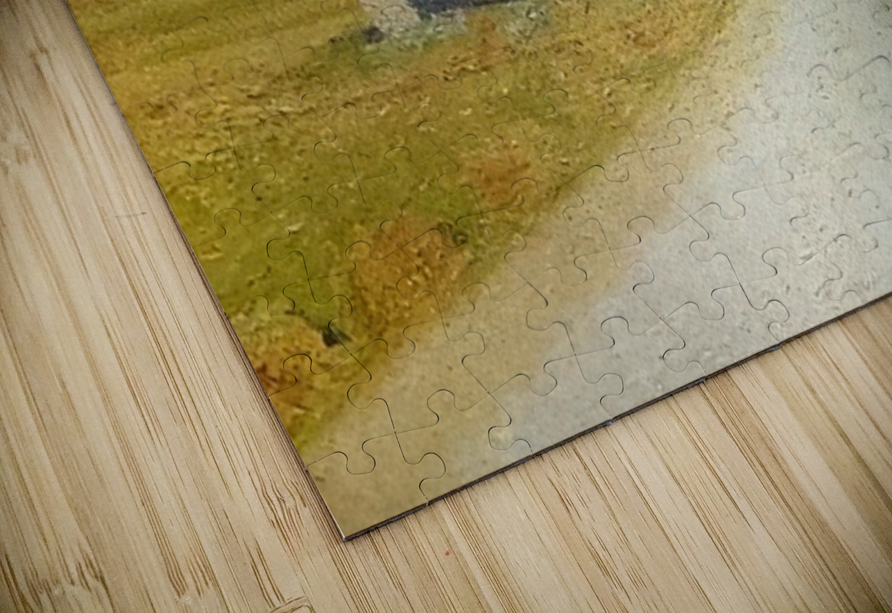 Achille Lauge Art 17 AmericanPainters Puzzle