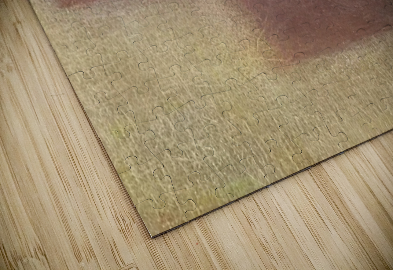 Achille Lauge Art 47 AmericanPainters Puzzle