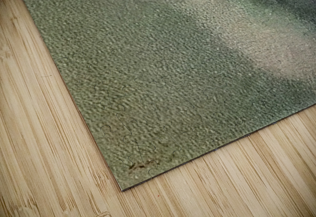 Achille Lauge Art 34 AmericanPainters Puzzle